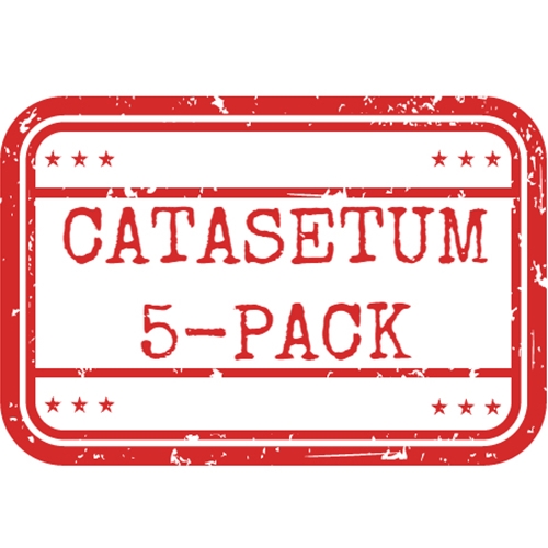 *Catasetum 5-Pack*