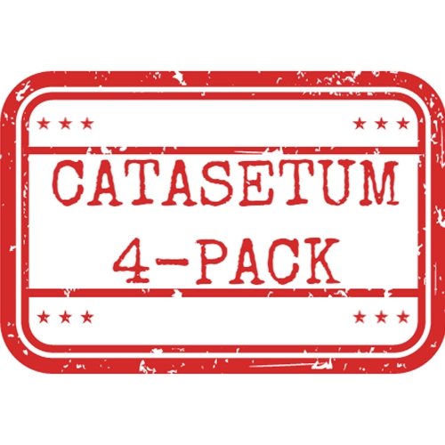 *Catasetum 4-Pack*